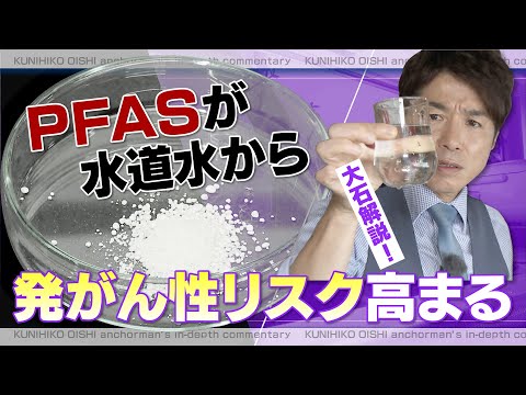 Qwipについて詳しく解説