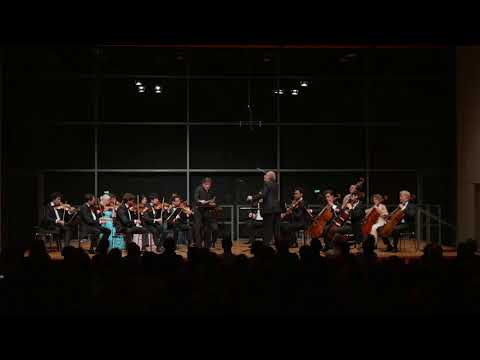 iPalpiti/Schmieder. Schubert – Geheimes. Wolfgang Holzmair, Baritone