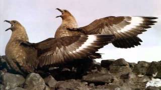 SO CALLED TOP 10 MOST DANGEROUS BIRDS!!!!!!!!!!!!!!!!!!!!!!!!!!!!!!!!!!!!!!!!!!!!!!!!!!!!!!!!!!!!!!1