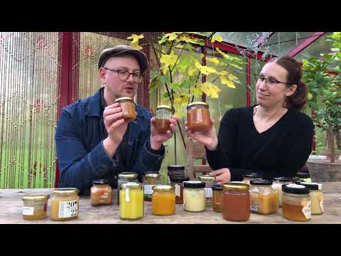 Vad är sorthonung? Honungsprovarna klargör!