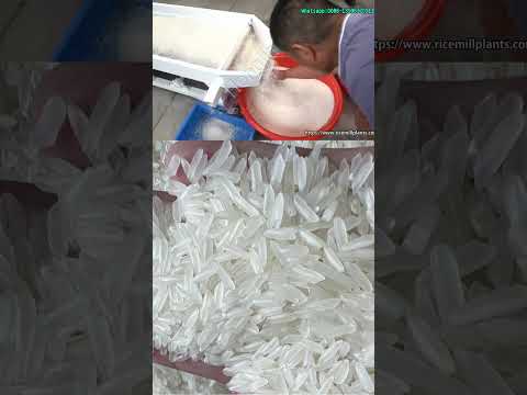 15T/D Rice Milling Machine Supplier- Co-Grain Rice Mill #ricemillsupplier #ricemill #autoricemill