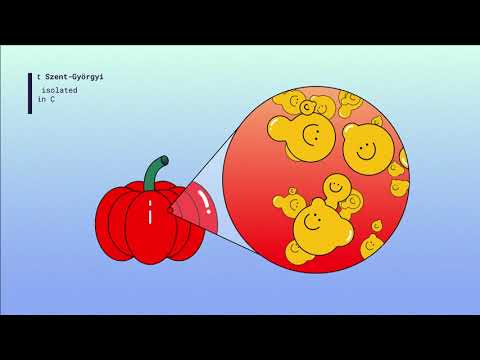 Invented in Hungary / short film