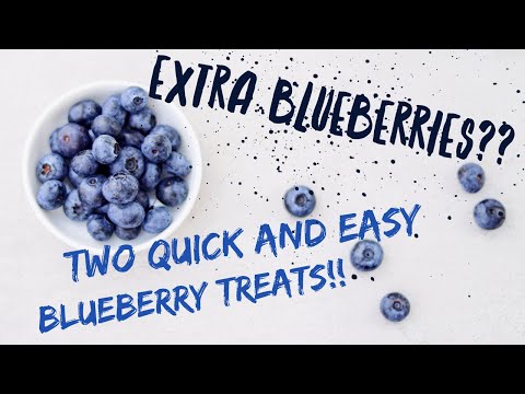 Quick and Easy Blueberry Treats and Desserts!