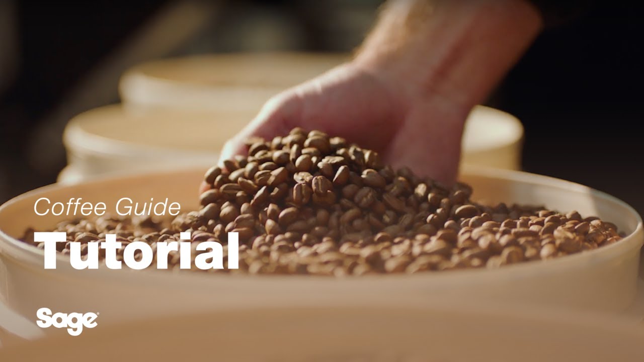 Breville coffee guide tutorial - Choosing the right beans 