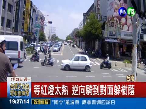 扯! 等紅燈太熱 騎到逆向躲樹蔭