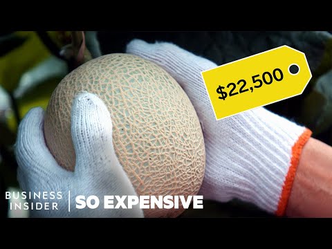 Why Japanese Melons Are So Expensive | So Expensive Video