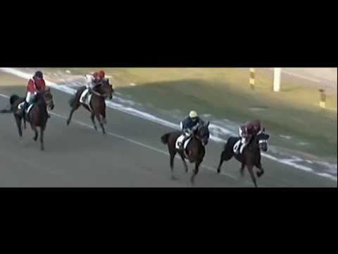 Trabreiten_At Full Speed_Michelle Kokkes_Michael Nimczyk Rennen 2013