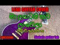 Ma Lagatama Thawa Lanwela Lead Guitar Cover Sinhala Guitar Lesson