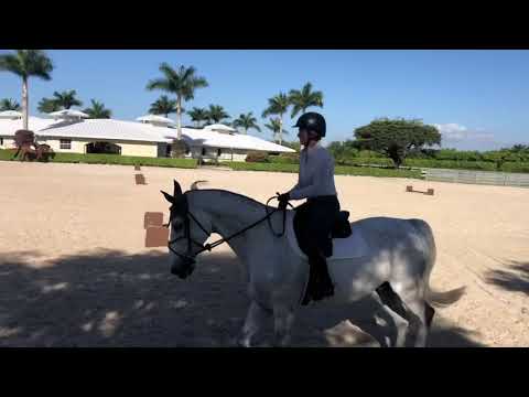 The Madden Method - Beezie flats Chic Hin