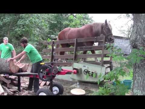 A 1 Horse Power Log Splitter