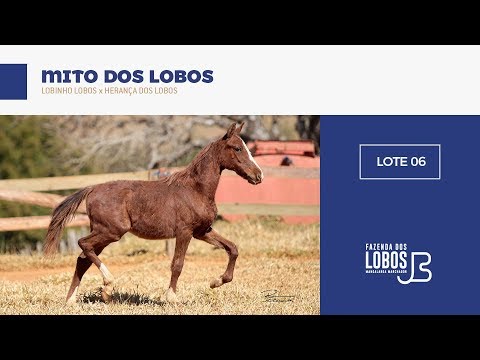 Lote 06 - Mito dos Lobos