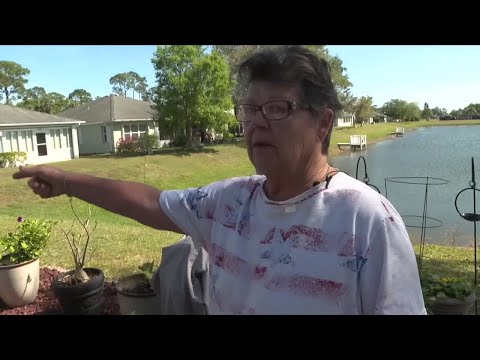 Neighbor describes agonizing moments trying to save woman killed by alligator