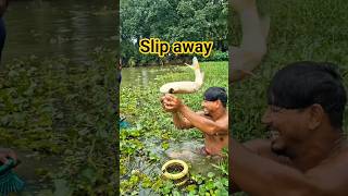 Download lagu Big Fish Slipped Away vs king skills #shorts @AdiFishman @Fischers @Banglaamar195 mp3 Download lagu Big Fish Slipped Away vs king skills #shorts @AdiFishman @Fischers @Banglaamar195 mp3