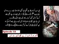 Episode 55 Shikasta Ho TU Azeez Ter Hai Nigah E Aaina Saaz Mein Second Marriage Forced Marriage Care