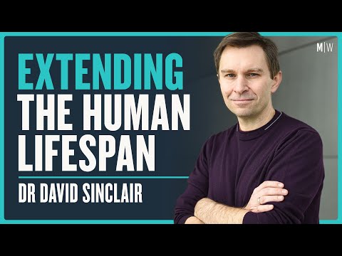 Dr David Sinclair - Defeating Ageing & Living Longer | Modern Wisdom Podcast 343