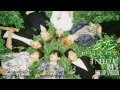 [COVER] BTS - I NEED U (Ballad Version) 