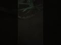 Jambulingamae Jada Jada Song