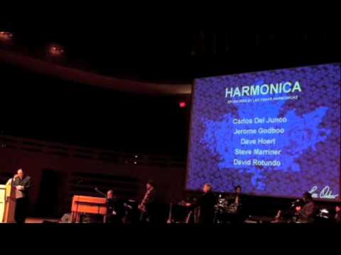 Monkey Junk 2010 Maple Blues Awards.mov