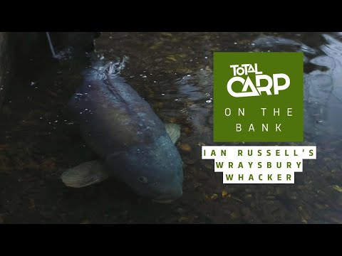 Ian Russell catches a GIANT Wraysbury carp!