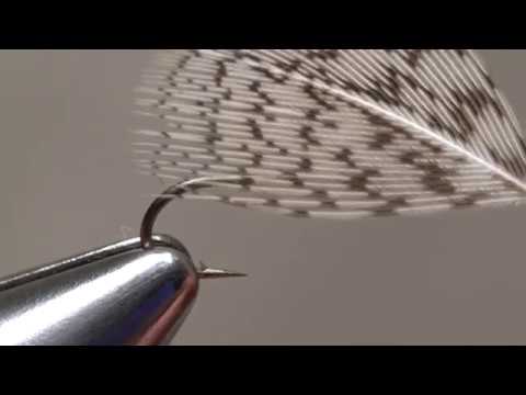 Using Large Feathers on Small Soft Hackles