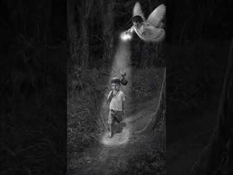 PH - FREESTYLE MAROLA