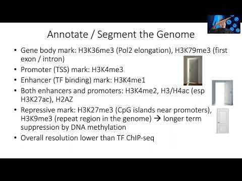 STAT115 Chapter 13.3 Infer Transcription Factor Binding from Histone Mark Dynamics