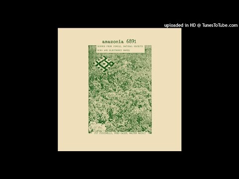 Pit Piccinelli / Fred Gales / Walter Maioli - Amazonia 6891 (Excerpt)