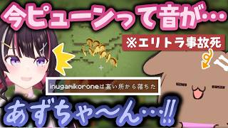 【#ホロ金策サバイバル2】金YAGOOに目が眩み事故死してあずきちに泣きつくころさんｗ【戌神ころね・AZKi/ホロライブ切り抜き】