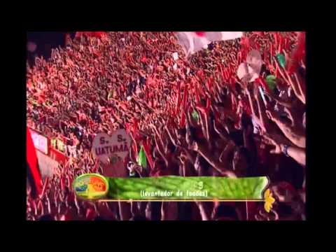 BOI GARANTIDO 2009   EMOÇÃO