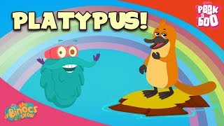 Download lagu What Is A Platypus? - The Dr. Binocs Show | Best Learning Videos For Kids | Peekaboo Kidz mp3 Download lagu What Is A Platypus? - The Dr. Binocs Show | Best Learning Videos For Kids | Peekaboo Kidz mp3