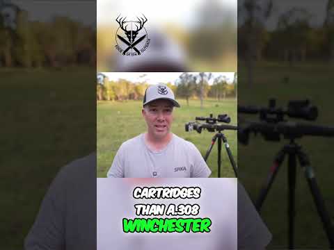 Wildcat | Reliable Ammo for Hunting and Plinking | Winchester Ammunition