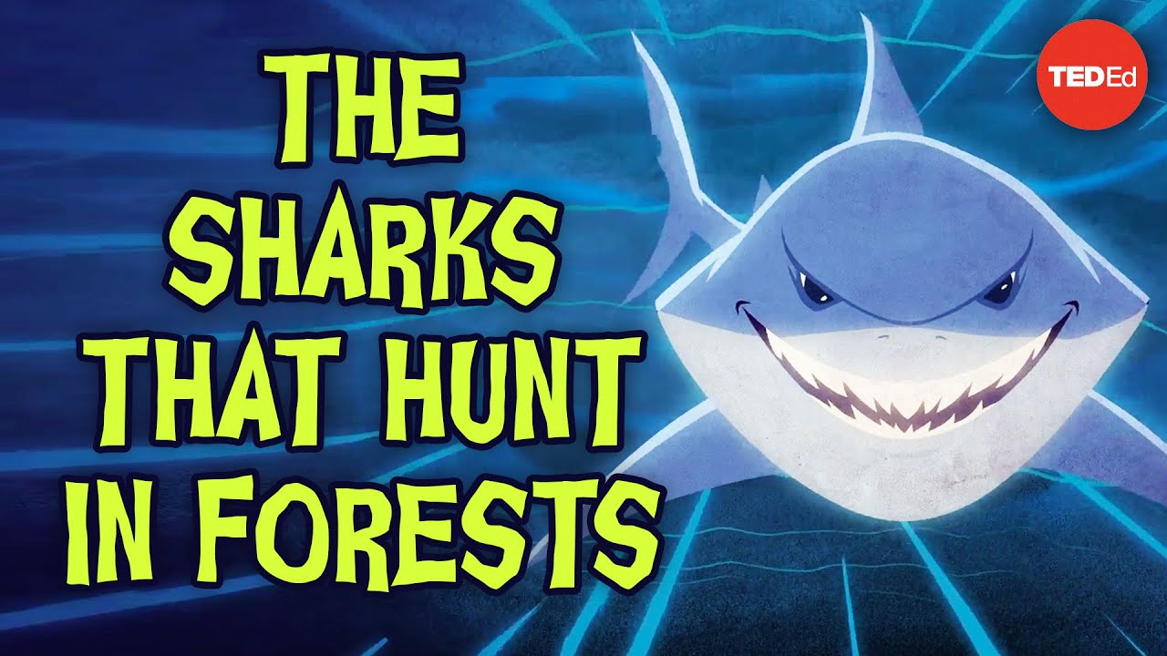 The sharks that hunt in forests - Luka Seamus Wright