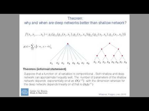 Tomaso Poggio (MIT): Some Theorems on Hierarchical Learning Machines