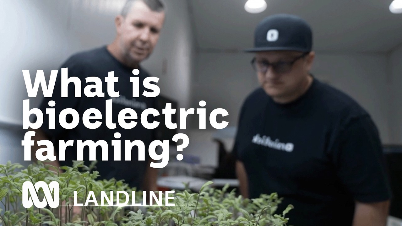 How Electricity Could Cut Pesticides and Boost Crop Growth