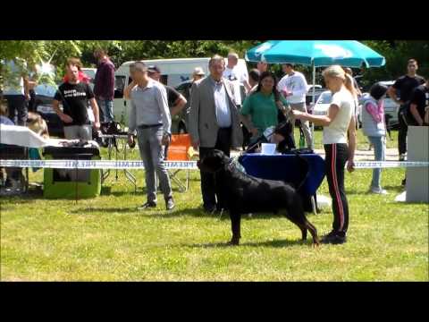 Al Capone Suny Day's on NDS Arandjelovac