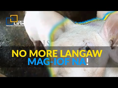 Pagkain pagbaba ng timbang sa 14 araw Oras ng paggawa sa mga pinaka-makapangyarihang pagbaba ng timbang