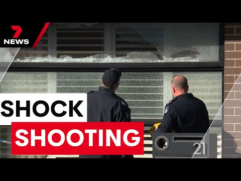 Underworld violence has returned to Melbourne's north in shock late-night drive-by shooting | 7NEWS
