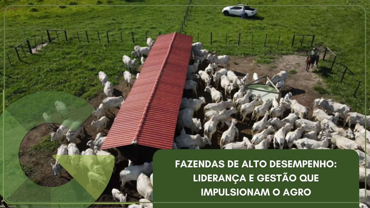 FAZENDAS DE ALTO DESEMPENHO: LIDERANÇA E GESTÃO QUE IMPULSIONAM O AGRO