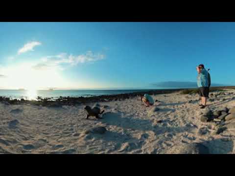 Galapagos Islands 360 for Hurtigruten Expeditions | Travel World VR