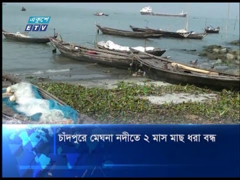 চাঁদপুরে মেঘনা নদীতে ২ মাস মাছ ধরা বন্ধ