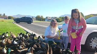 Spending Quality Time with my Cousin's, Sharing An Outdoor Adventure Feeding Ducks
