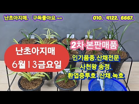 유튜브 썸네일