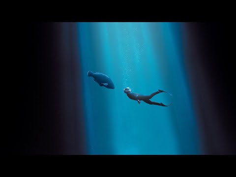 Nadando en libertad - Tráiler español