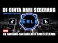 DJ Cinta Dari Seberang Zinidin Zidan Ft Yaya Nadila Remix Viral Tiktok Terbaru 2025