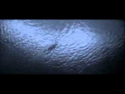 Enno Velthuys - Blue Heron