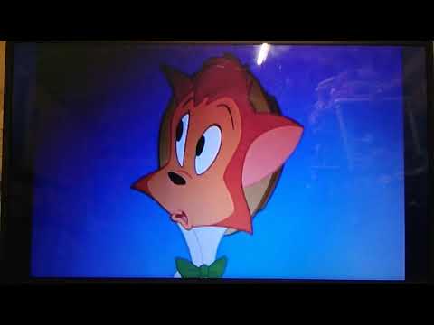 Mammal Story part 8 - Lost at the Gas Station (2010)