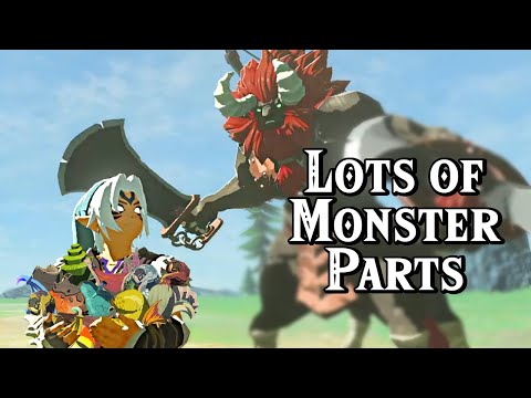 Best Farming Locations for Monster Parts | Zelda Breath of the Wild BotW