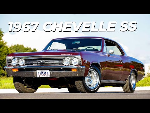 1967 Chevrolet Chevelle SS (CC-1541028) for sale in Winter Garden, Florida