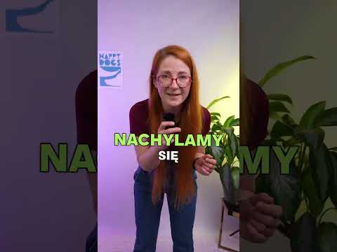 NIGDY nie rób tego psu! 🚫 Drastyczny błąd, który kończy się ugryzieniem! #shorts