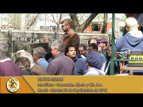 25-09-18 Nota Victor Sisinni - Martillero - Hourcade, Albelo y Cía. S.A. - Rauch